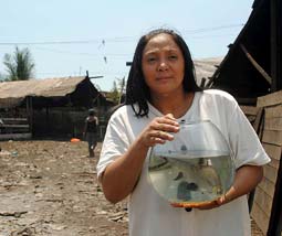 isda - fable of the fish